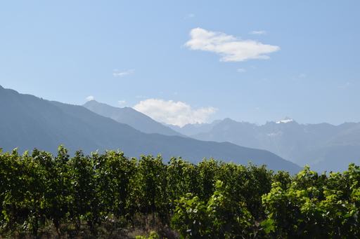 Alps